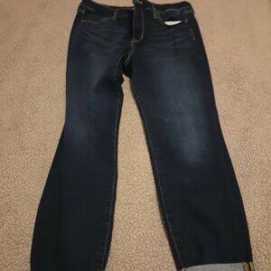 American Eagle Next Level Stretch Dark Denim Jegging Jeans Womens 16